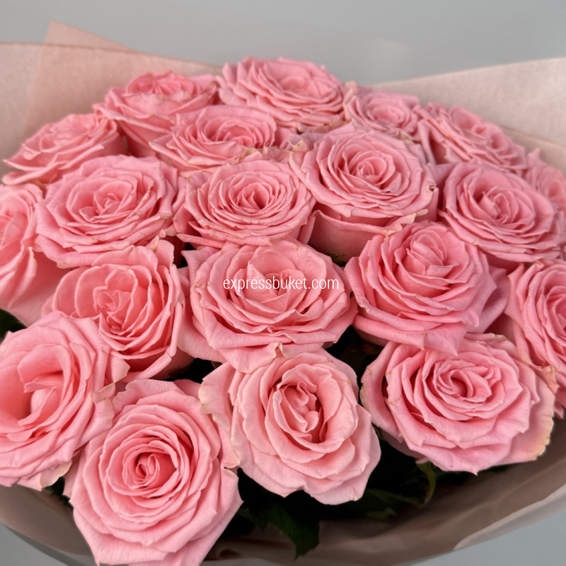 Букет из роз Софи Лорен 21 шт 