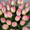 Розовые тюльпаны, 51шт