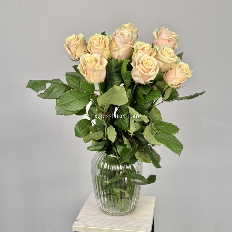 Розы Талеа, 10 шт