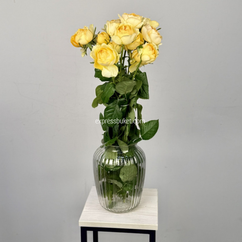 Розы Сильва Санни, 5 шт