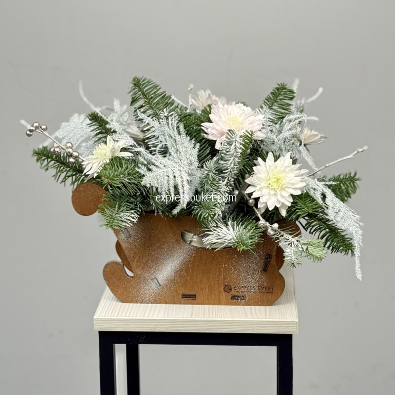 Зимние сани