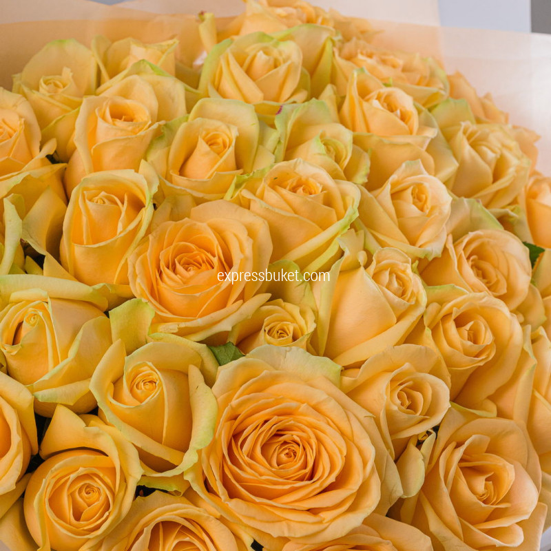 Букет роз Пич Аваланж 35 шт